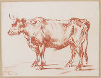 KG 07273
<br/>
Stier
<br/>
<em>Cootwyck, Jurriaan (1714 - 1798)</em>